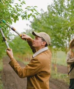 Outils de jardinage en France – analyse complète